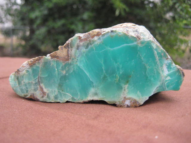 Chrysoprase Growth, compassion, connection with Nature, forgiveness, altruism 2116